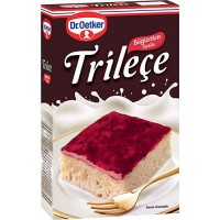 DR.OETKER TRILEÇE BLACKBERRY SAUCE (8 x 315 g)