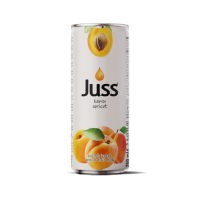 Juss Apricot Drink (24 x 250 ml)