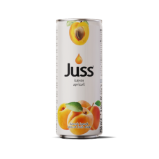 Juss Apricot Drink (24 x 250 ml)