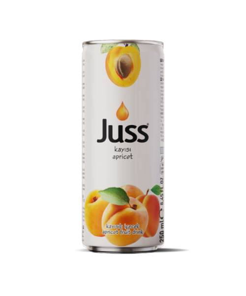 Juss Apricot Drink (24 x 250 ml)